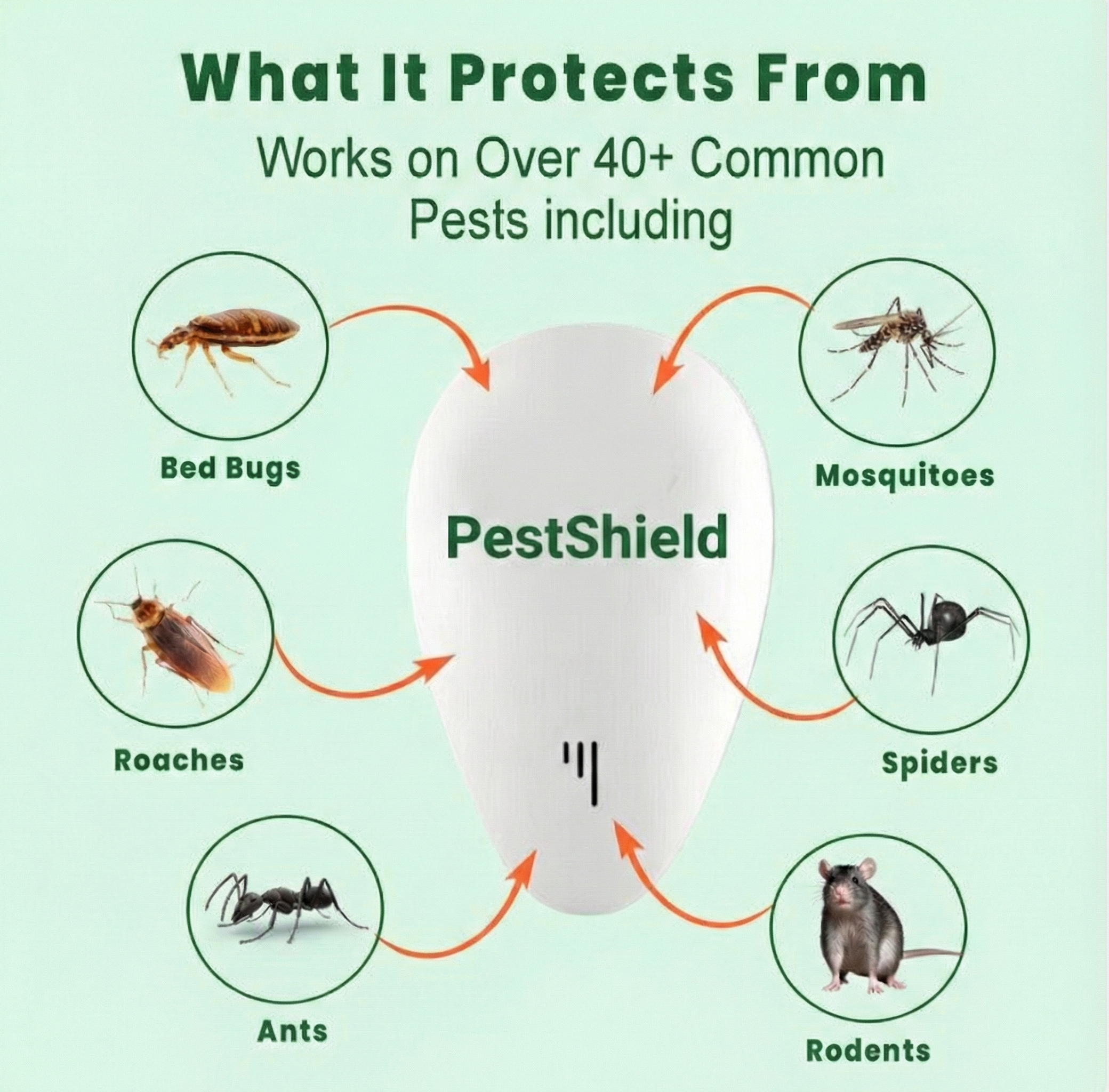 What It Protects From